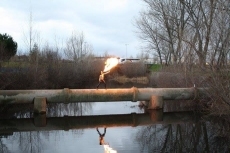 Foto 3 - Este sábado se espera una bonita exhibición de aves rapaces en el pabellón municipal