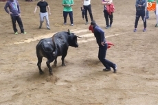 Foto 6 - La quietud de 'Chileno II' empaña una tarde de toros histórica