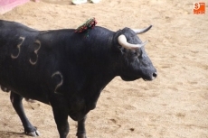 Foto 4 - La quietud de 'Chileno II' empaña una tarde de toros histórica