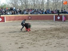 Foto 6 - Una plaza de toros llena arropa a los alumnos de la Escuela de Tauromaquia