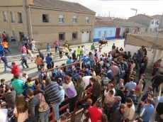 Foto 5 - Multitudinario encierro del primer toro del Voto