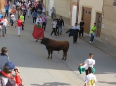 Foto 3 - Multitudinario encierro del primer toro del Voto