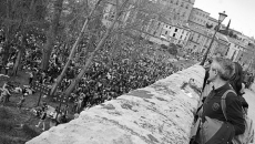 Foto 6 - La vida en otro lado