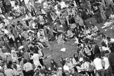 Foto 5 - La vida en otro lado