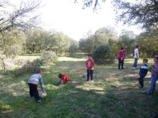 Foto 4 - Familiares y amigos suben al monte a pasar un divertido Lunes de Aguas