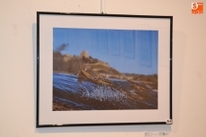 Autor: Roberto Del Pilar Cuadrado