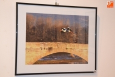 Autor: José Antonio Hernández Martín