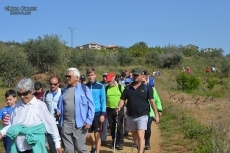 Éxito de participación en ‘La senda del cerezo en flor’