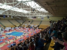 Domingo 'judoka' en el Pabell&oacute;n de W&uuml;rzburg