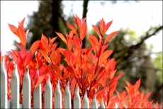 La primavera es luz | Imagen 5