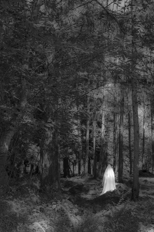 Una casa encantada | Imagen 1