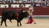 Foto 2 - Juan del Álamo recibe la única ovación en Madrid en un festejo muy deslucido