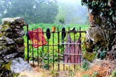 Foto 3 - Con mi abuelo 