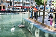 Foto 5 - Vamos a la Alamedilla