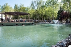 Foto 3 - Vamos a la Alamedilla