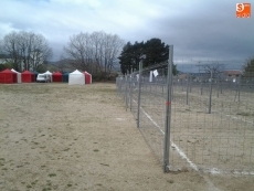 Foto 5 - Un millar de perros se darán cita en la Feria Cinegética de Linares de Riofrío