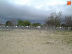 Foto 4 - Un millar de perros se darán cita en la Feria Cinegética de Linares de Riofrío