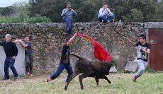 Foto 3 - El Cadete del Ciudad Rodrigo se conjura para el final liguero con una fiesta campera