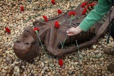 Foto 6 - Tiro de gracia