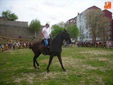 Foto 4 - La feria del caballo consigue conquistar al público con el concurso por especialidades