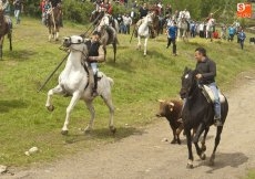 Foto 6 - Vistoso encierro con el sol como agradecido acompañante 