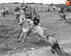Foto 4 - Vistoso encierro con el sol como agradecido acompañante 