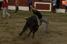 Foto 6 - Entretenida tarde taurina con varios sustos y momentos de peligro