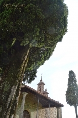 Foto 6 - Los sequereños se preparan para vivir la Santa Cruz de Mayo