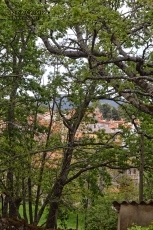 Foto 4 - Los sequereños se preparan para vivir la Santa Cruz de Mayo