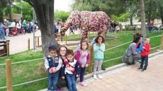 Foto 5 - Un bonito día en familia en el Zoo de Madrid
