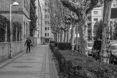 Foto 3 - San Bernardo