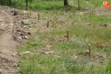 Foto 3 - Los niños elaboran un mural en el marco del Proyecto ‘Ruta de los Molinos’