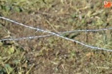 Foto 6 - La Farinato de Hierro se compondrá de 5 mangas, además de la prueba infantil