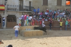 Foto 5 - Los festejos taurinos centran las fiestas de El Noveno