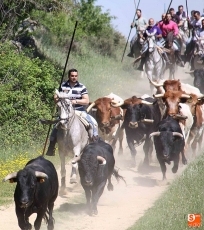 Foto cortesía de Manuel Nicolás Bogaz