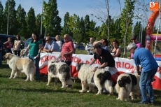 Foto 6 - La I Mostinada Mirobrigense anima la tarde sabatina en la Feria de Mayo