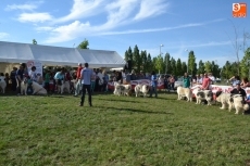 Foto 3 - La I Mostinada Mirobrigense anima la tarde sabatina en la Feria de Mayo