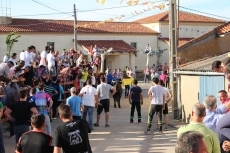 Foto 3 - El Toro de San Miguel Arcángel resulta de nuevo un éxito