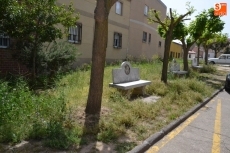 Foto 6 - El Ayuntamiento se apresura a limpiar el parque y los jardines de la calle Alberca