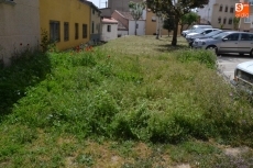 Foto 5 - El Ayuntamiento se apresura a limpiar el parque y los jardines de la calle Alberca
