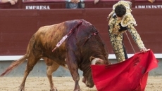 Foto 6 - Juan del Álamo recibe la única ovación en Madrid en un festejo muy deslucido