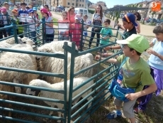 Foto 6 - Jueves de Ascensión, jueves de feria ganadera en la villa ledesmina