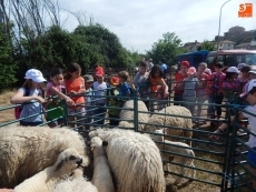 Foto 5 - Jueves de Ascensión, jueves de feria ganadera en la villa ledesmina