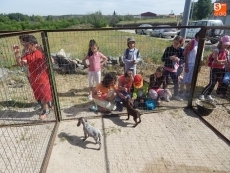 Foto 4 - Jueves de Ascensión, jueves de feria ganadera en la villa ledesmina