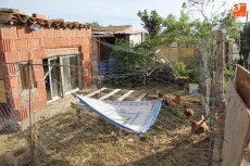 Foto 3 - Usuarios de huertos familiares denuncian el hurto de dos motores de riego y más de 100 litros de...