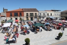 Foto 5 - Multitudinaria fiesta chica en honor a San Isidro