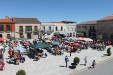 Foto 4 - Multitudinaria fiesta chica en honor a San Isidro