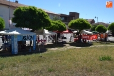 Foto 6 - Mercadillo de políticos junto al tradicional mercadillo sabatino