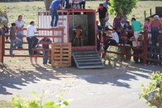 Foto 6 - Los eventos taurinos de Águeda despiertan gran expectación un año más