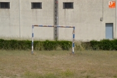 Foto 5 - 1Foto: Jugando entre cardos